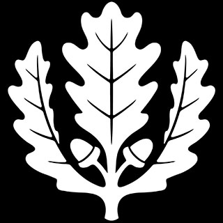 UConn Oak Leaf